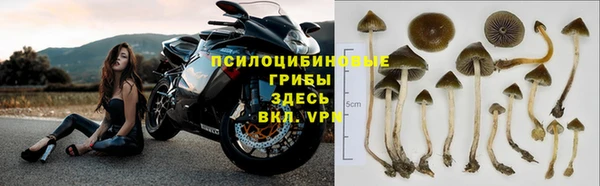хмурый Горнозаводск
