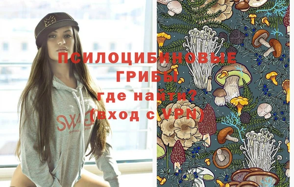 альфа пвп Горняк