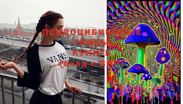 альфа пвп Горно-Алтайск