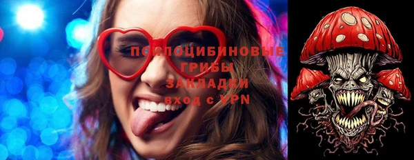 хмурый Горнозаводск